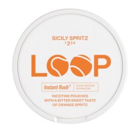 PALETTE SNUS LOOP